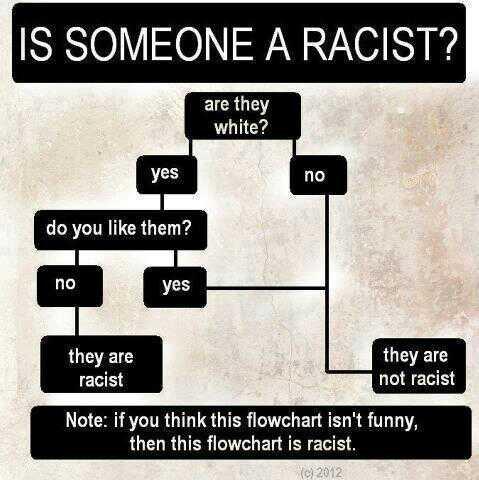 racist flow chart